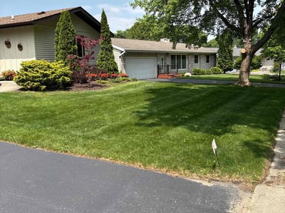 Lawn care service in Madison, 53719