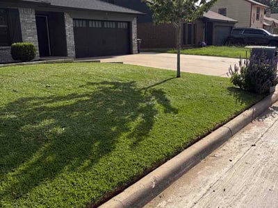 Lawn care service in Burleson, 76028