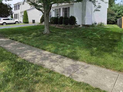 Lawn care service in Columbus, 43004