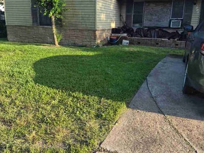 Lawn care service in Houston, 77021