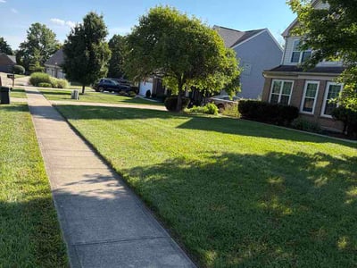 Lawn care service in Mason, 45040
