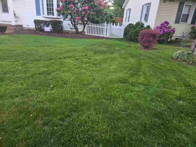 Lawn care service in Fieldsboro, 08505