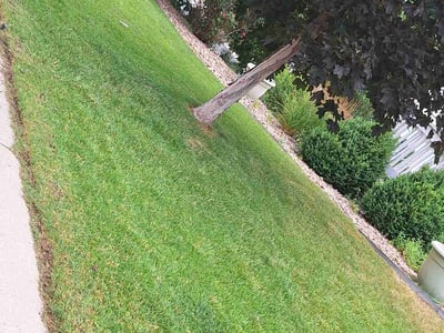 Lawn care service in Lakewood, 80228