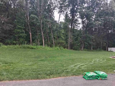 Lawn care service in Schenectady, 12302