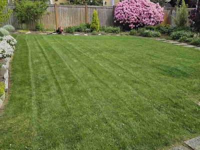 Lawn care service in Kirkland, 98034