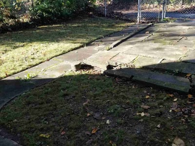 Lawn care service in Louisville, 40211