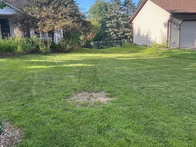 Lawn care service in Stillwater, 55082