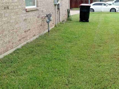 Lawn care service in Cypress, 77429