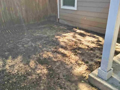 Lawn care service in Austin, 78748