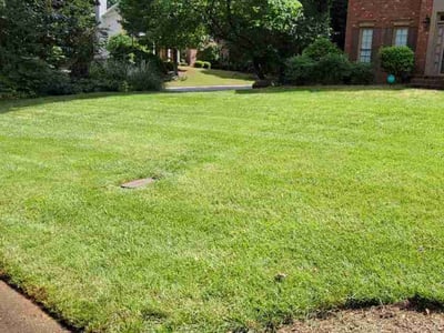 Lawn care service in Lawrenceville, 30043