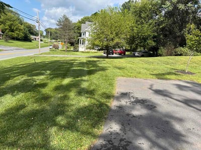 Lawn care service in Martinsburg, 25404