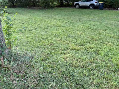 Lawn care service in Kansas City, 64134