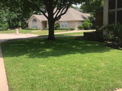 Lawn care service in DeSoto, 75115