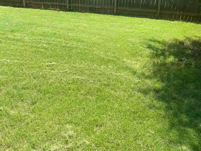 Lawn care service in Newnan, 30263