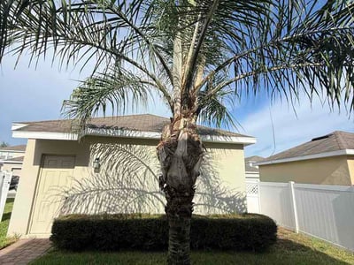 Lawn care service in Winter Garden, 34787
