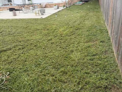 Lawn care service in Gretna, 70056