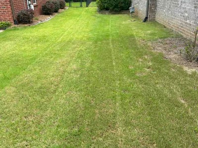 Lawn care service in Pelham, 35124