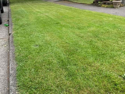 Lawn care service in Everett, 98201