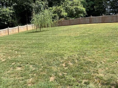 Lawn care service in Winston-Salem, 27103