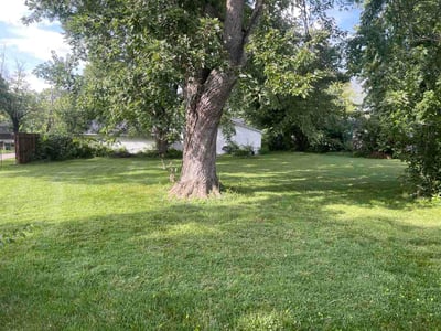Lawn care service in Dayton, 45419