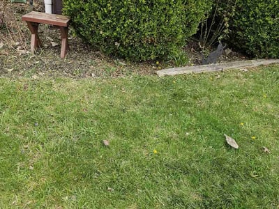 Lawn care service in Columbus, 43229