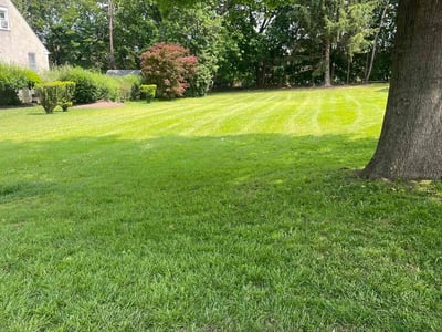 Lawn care service in Eagleville, 19403
