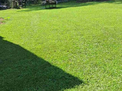 Lawn care service in Sharpsburg, 30277