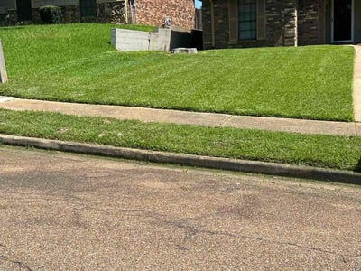 Lawn care service in Clinton, 39056
