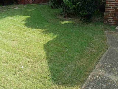 Lawn care service in Montgomery, 36107