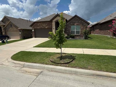 Lawn care service in Denton, 76210