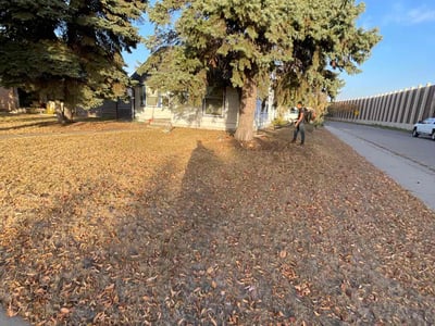 Lawn care service in , 