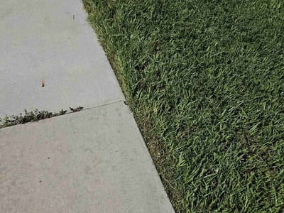 Lawn care service in Groveland, 34736