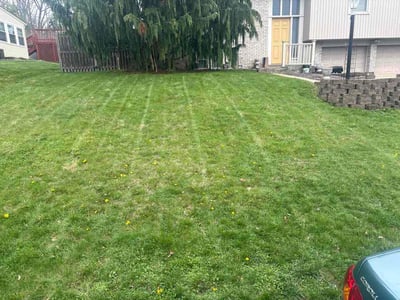 Lawn care service in Pittsburgh, 15237