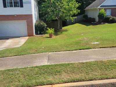 Lawn care service in McDonough, 30253