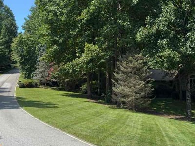 Lawn care service in Zirconia, 28790