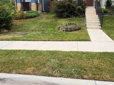 Lawn care service in Austin, 78754