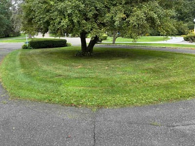 Lawn care service in Greenwich, 06831
