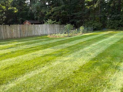 Lawn care service in Gansevoort, 12831