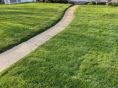 Lawn care service in Levittown, 11756