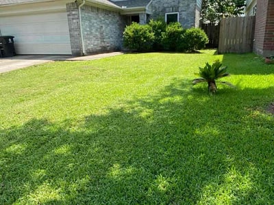 Lawn care service in Missouri City, 77489