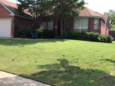 Lawn care service in Garland, 75043