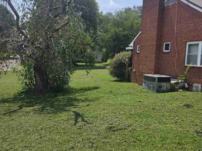 Lawn care service in Knoxville, 37914