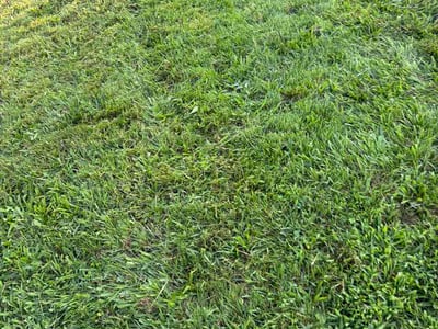Lawn care service in Perth Amboy, 08861