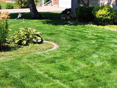 Lawn care service in Spokane, 99208