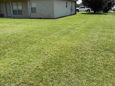 Lawn care service in North Little Rock, 72117