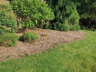 Lawn care service in Akron, 44333