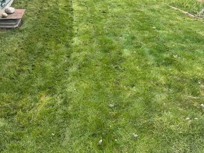 Lawn care service in Everett, 98208