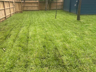 Lawn care service in Spring, 77380