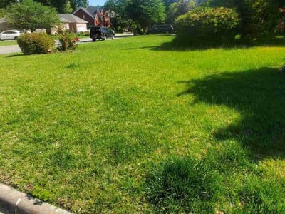 Lawn care service in Chesapeake, 23322