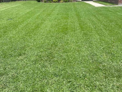 Lawn care service in Denham Springs, 70726